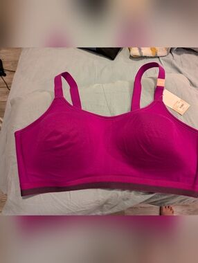Cacique Wireless Scoop Bra - Magenta